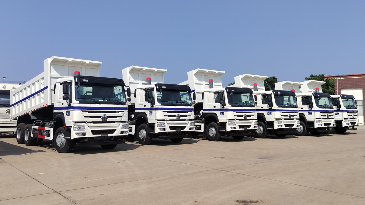 Zákazník ze Saúdské Arábie provádí kontrolu sklápěcího nákladního vozu HOWO o hmotnosti 20 tun